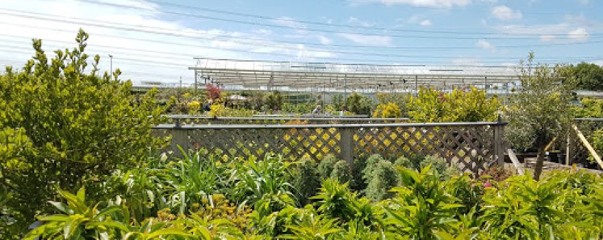 Suffolk Plant Centre