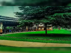 Assembly Hall of Jehovah's Witnesses, Ubogo