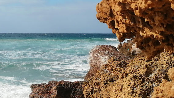 Pineta di Fontanamare