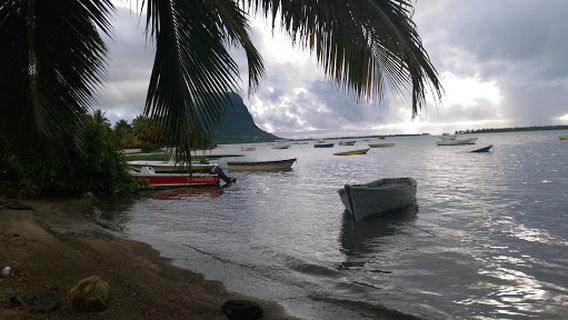Amistad - Nager avec les Dauphins de l'île Maurice