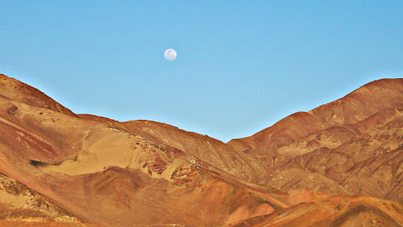 The Hummingbird (Nazca Lines)
