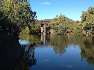 The Bingara Sporting Club Ltd