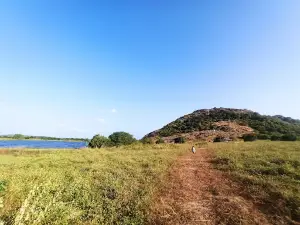 Pão de Açucar