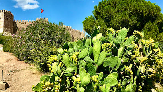 Selçuk