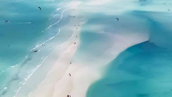 Holbox tours and activities by Caminante