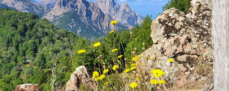 Camping l'Acciola