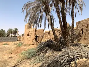 Old Al Junaifi