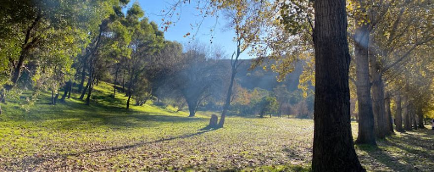 Micalong Creek Reserve