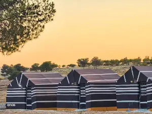 Wadi Alwala View Camp