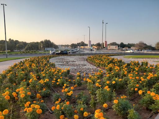 Al Kharan Round about