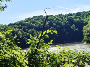 Blue Earth River