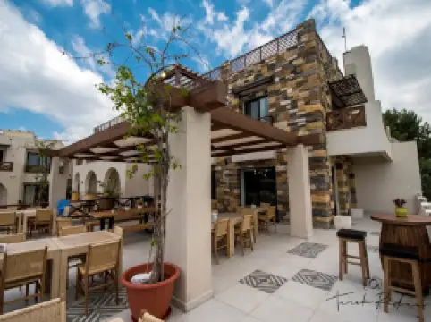 Al Jamil Equestrian club