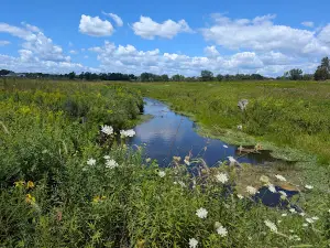 Pine Knob County Park