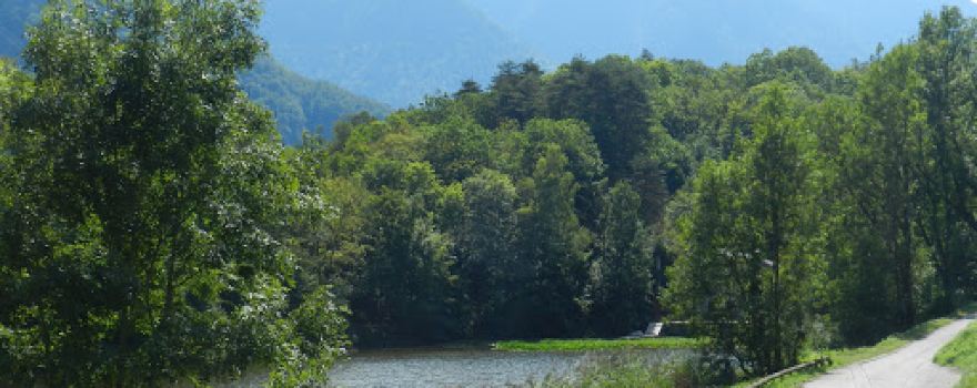 Le Vivier (Lac)