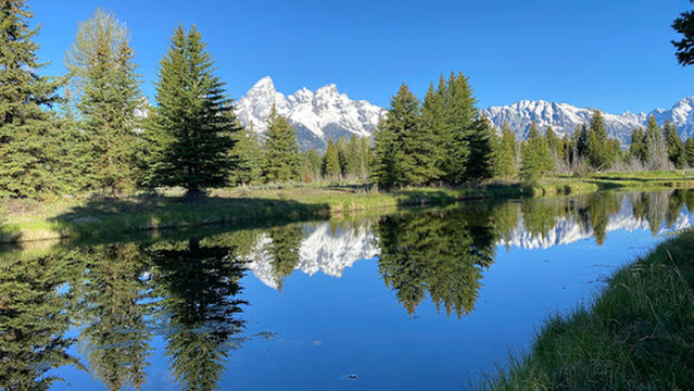 Jackson Hole EcoTour Adventures