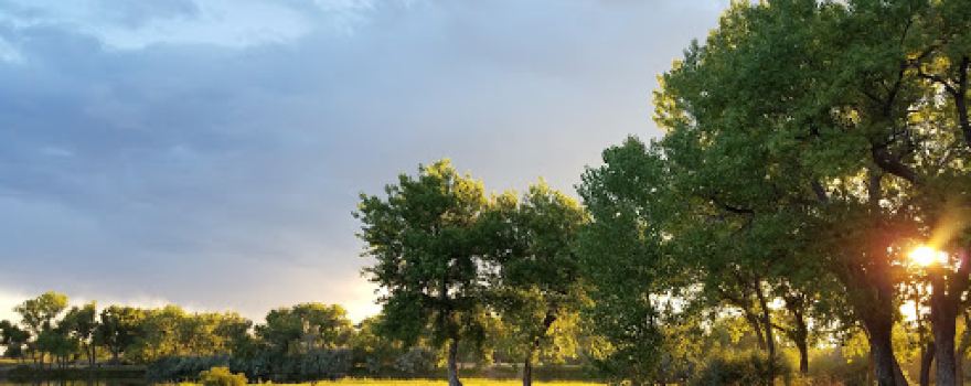 Bridgeport State Recreation Area