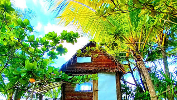 LTB FENUA Organic Farm & Camping