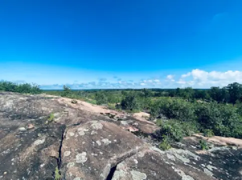Swedes Forest Scientific and Natural Area (SNA)