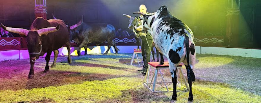 Circus Max Renz