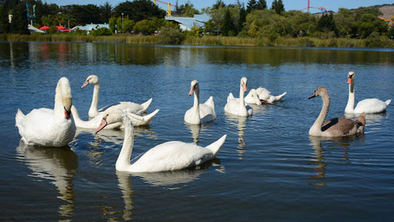 Dan Foley Park
