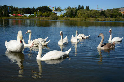 Dan Foley Park