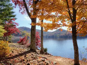 The Pines Recreation Area Glenville dam
