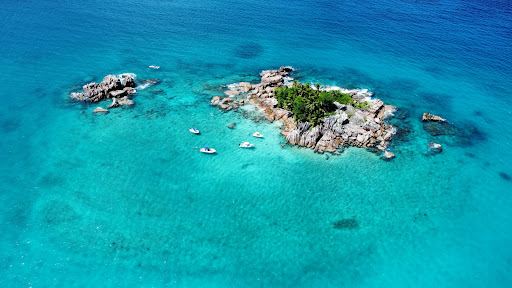 Snorkeling St.Pierre