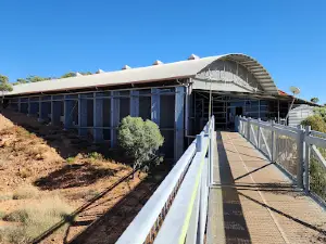 Lark Quarry Conservation Park