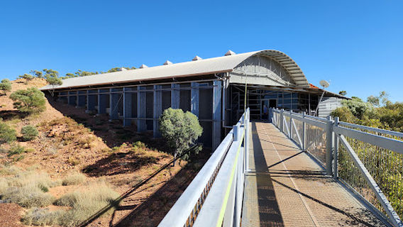 Lark Quarry Conservation Park