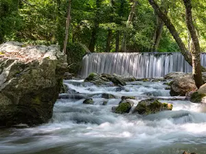 Bosco Magnano - Torrente Peschiera