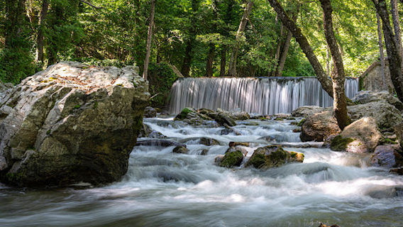 Bosco Magnano - Torrente Peschiera