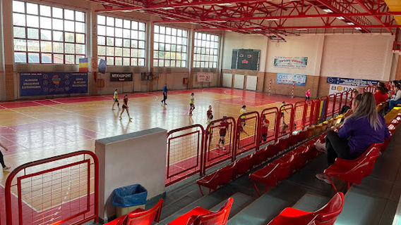 Sala Sporturilor LPS Ecaterina Both