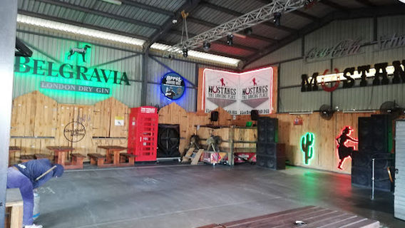 Mustangs - The Dancing Place