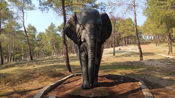 Kırıkhan Urban Forest
