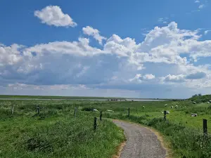 Zeehondenkijkwand