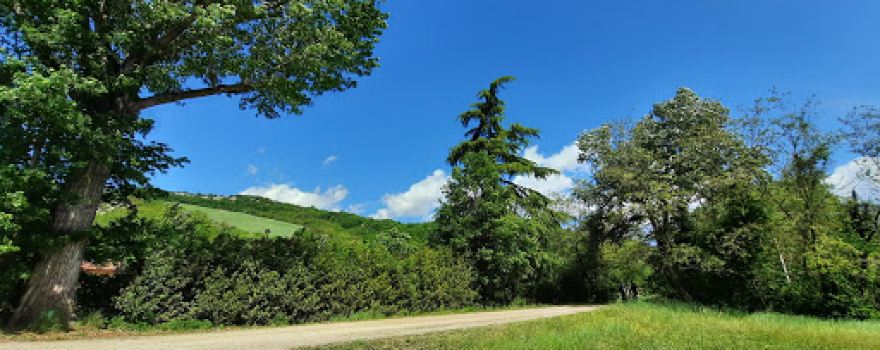 Area di Riequilibrio Ecologico "Torrente Idice"