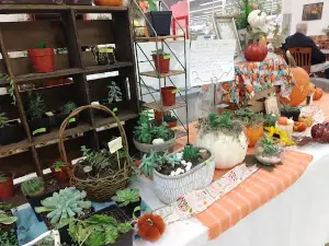Joppa Grand Market