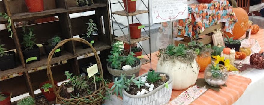 Joppa Grand Market