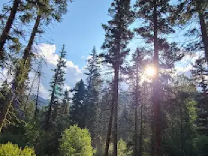 Santa Barbara Campground