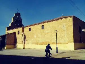 Gema Del Vino