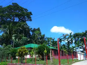 Pukur Par Jame Masjid