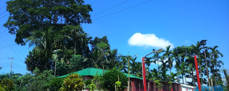 Pukur Par Jame Masjid