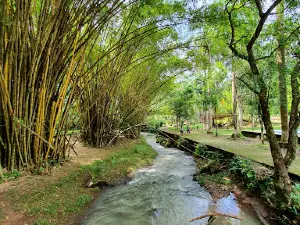 Norte "Del Café" Ecological Park
