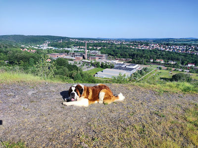Bergehalde Landsweiler-Reden