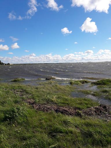 Kunstmuruväljak