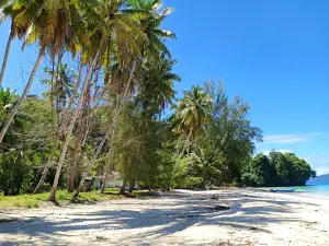 wisata Pantai Pasir Putih 1