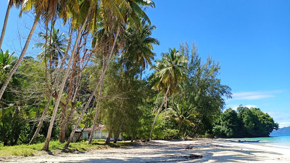 wisata Pantai Pasir Putih 1