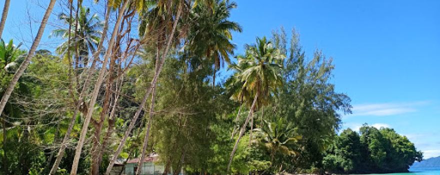 wisata Pantai Pasir Putih 1