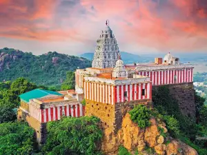 Arulmigu Sri Vedhagiriswarar Temple