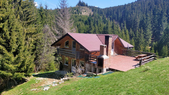 Tree Adventure Park Fundatica